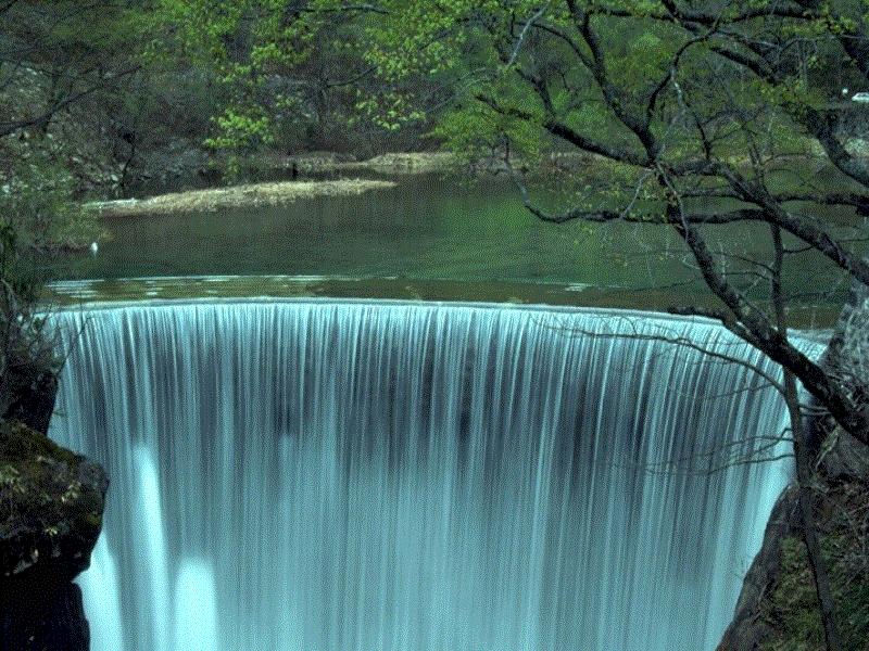 为什么要对水源地进行生物毒性检测