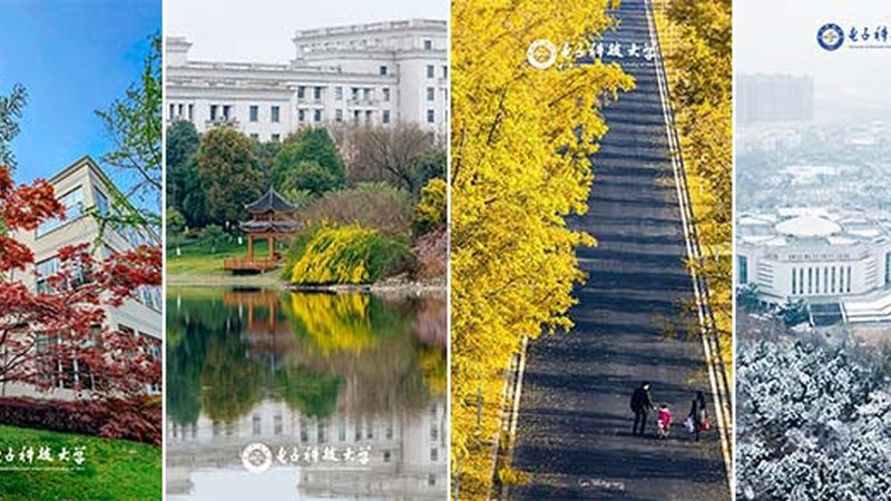 S8050三极管：揭秘华强北报价背后的技术奥秘