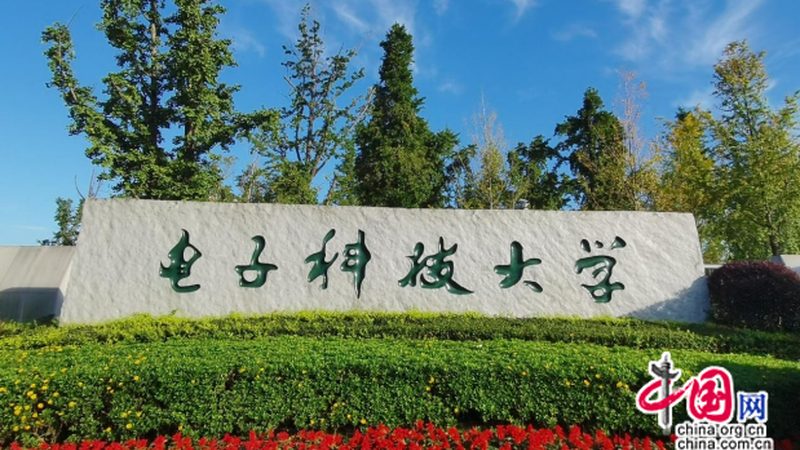 高频电子模块：揭秘其性能与选型的关键因素**